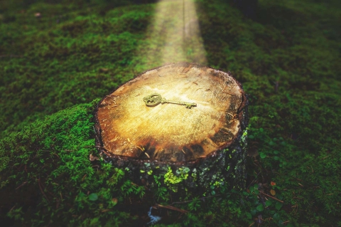 Ein leuchtender Schlüssel liegt im Wald. Er symbolisiert den Schlüssel zu guten Webseiten-Texten.