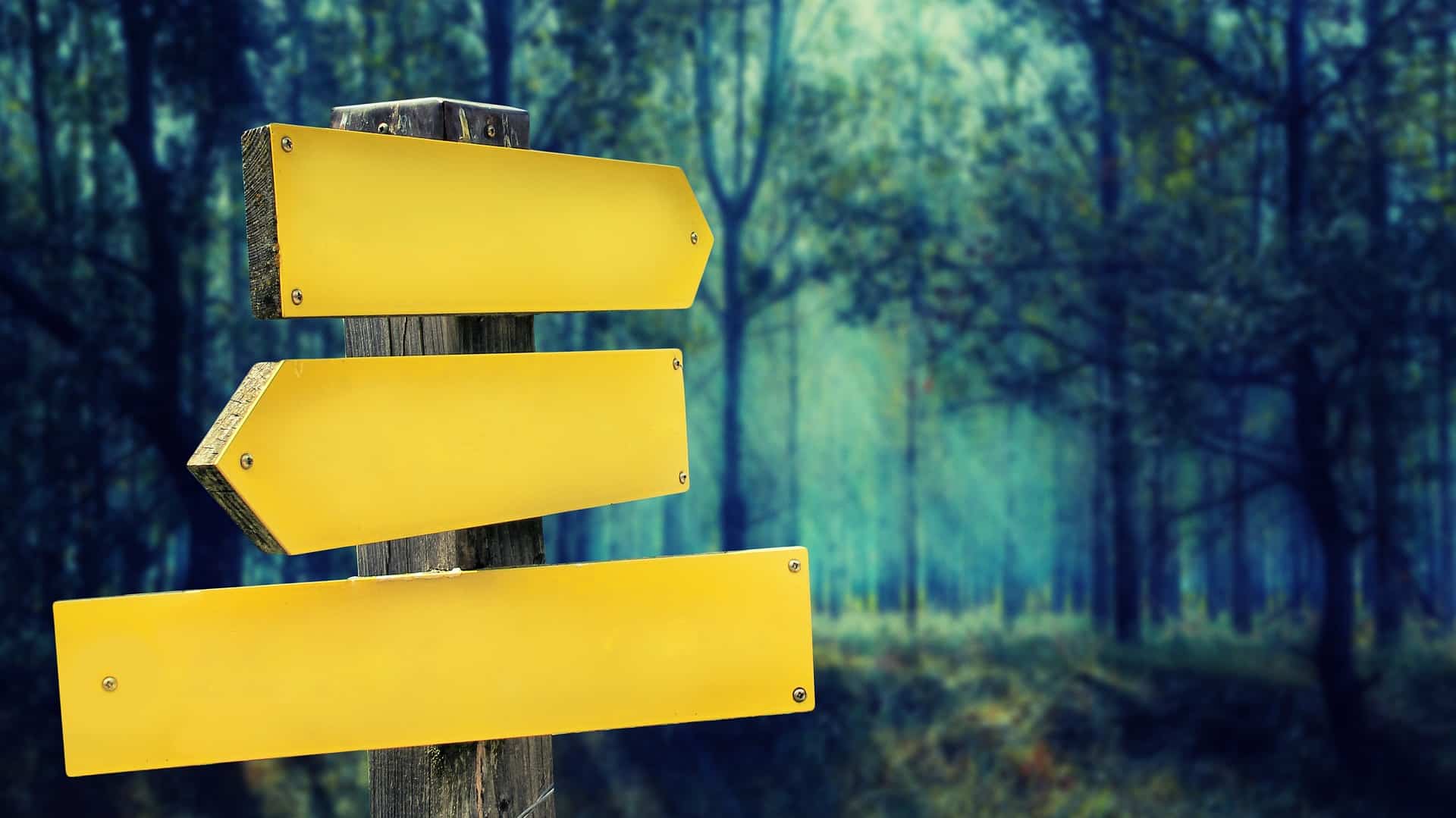 Wegweiser mit gelben Schildern im Wald - ein Symbol für interne Links auf der Webseite