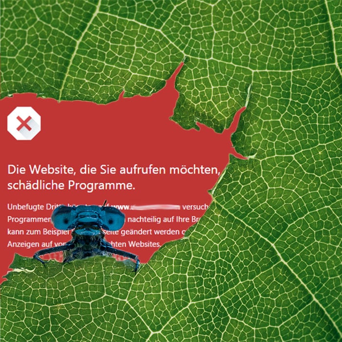 Demonstrative image of a pest eating through a leaf. A warning message from Google about a hacked website can be seen in the background