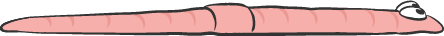 Illustration of a pink worm