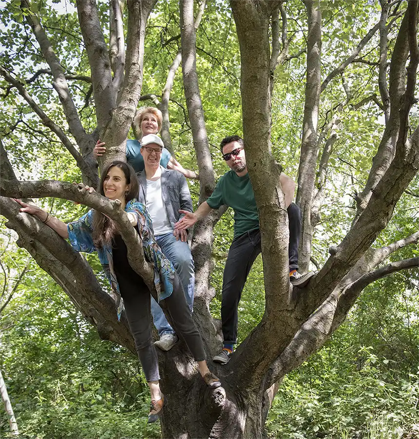 Group photo of four MaiNetCare employees who have climbed a tree and are laughing into the camera from there